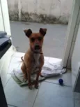 Boby