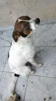 Katara