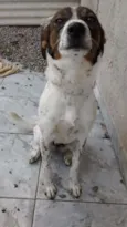 Katara