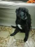 Lili