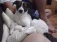 Katara