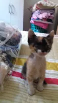 Zuzu