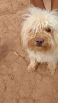 Bob