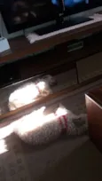 PETEKA