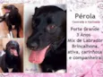 Pérola