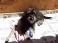 Nina