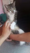 não tem ainda 