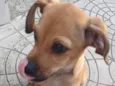 Sem nome