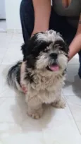 Não sei.