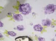 Mimi