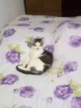 Mimi