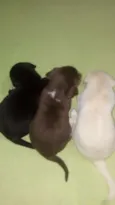 Principe e princesas