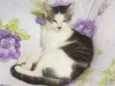 Mimi