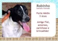 Robinho