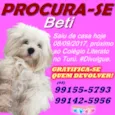 BETI 