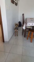 safira
