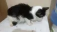 Mimi