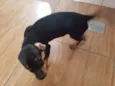 Julieta