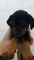 Julieta