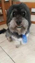 Billy