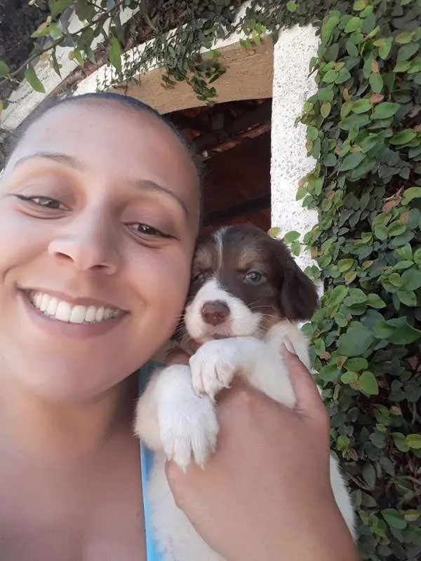 Cachorro ra a SRD idade Abaixo de 2 meses nome MILKA