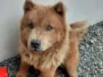 Ted
