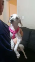 Bella