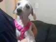 Bella