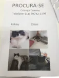 CHICO E KEKEU
