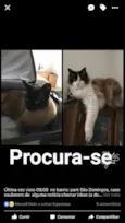 CHICO E KEKEU