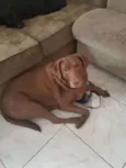 Spike