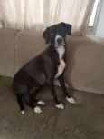 Mel