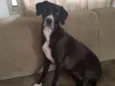 Mel