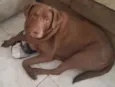 Spike