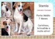 Stenio