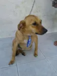 BÓRIS