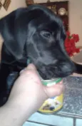 Manu