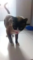 Mimi