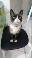 Mimi