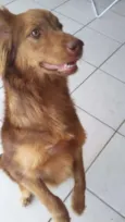 Théo
