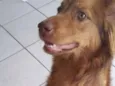 Théo