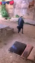 spaik