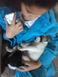Peter e Luna 