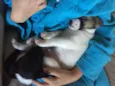 Peter e Luna 