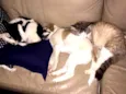 Peter e Luna 