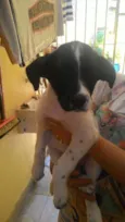 Frida