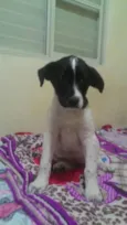Frida