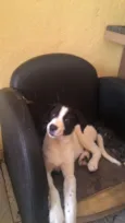 Frida
