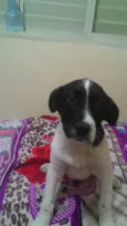 Frida