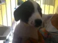 Frida